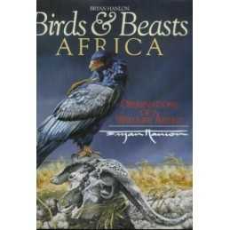 Birds and Beasts Africa: Observations of a Wildlife... by Hanlon, Bryan Hardback