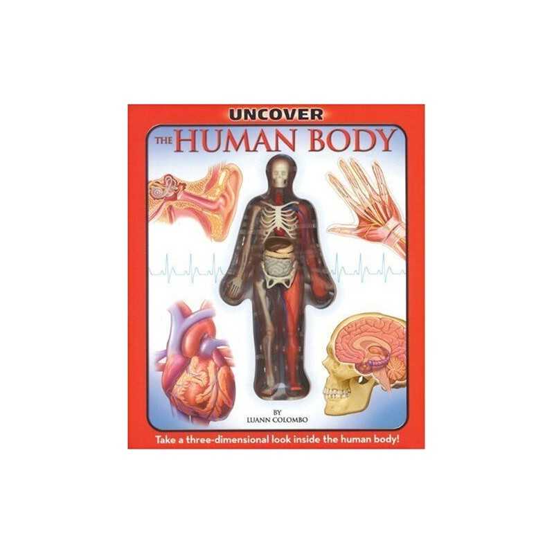 Uncover the Human Body (Uncover Books) by Columbo, Jennifer Kit Book