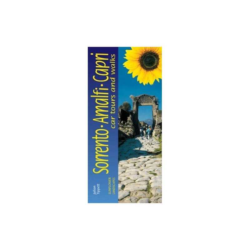 Landscapes of Sorrento and the Amalfi Coast (Sun... by Tippett, Julian Paperback