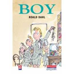 Boy: Tales of Childhood (New Windmills KS3) by Dahl, Mr Roald Hardback Book The