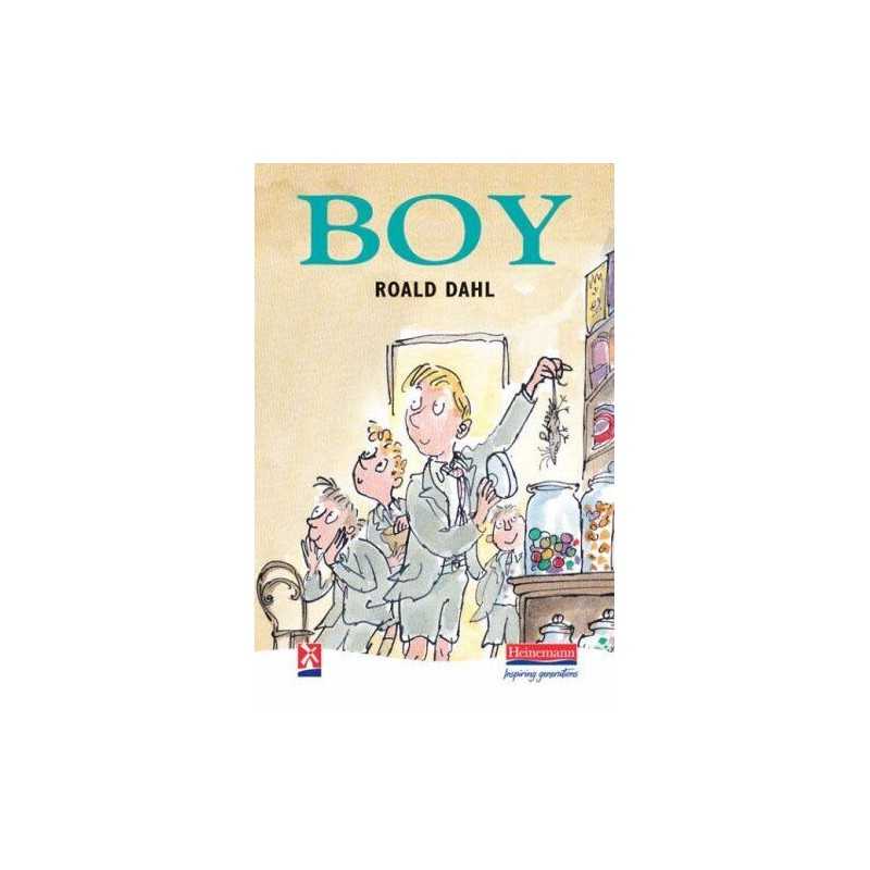 Boy: Tales of Childhood (New Windmills KS3) by Dahl, Mr Roald Hardback Book The
