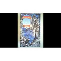 The Forge In The Forest: The Winter of the ... by Rohan, Michael Scott Paperback