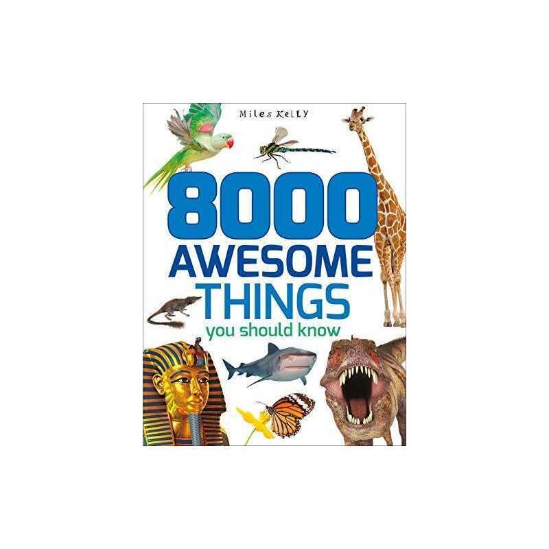 8000 Awesome Things You Should Know (512-Page Fact) by Kelly, Miles Book The