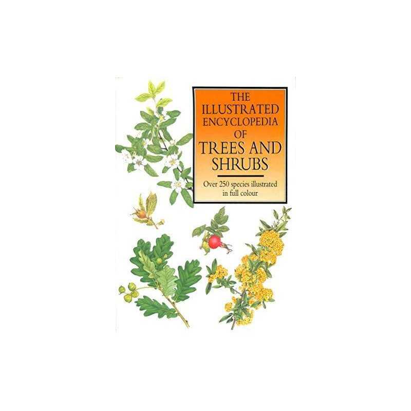 The Illustrated Encyclopedia of Trees and Shrubs by Vetricka, Vaclav Hardback