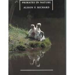 Primates in Nature by Richard, Alison F. Paperback Book
