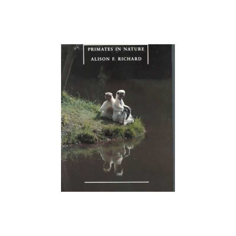 Primates in Nature by Richard, Alison F. Paperback Book