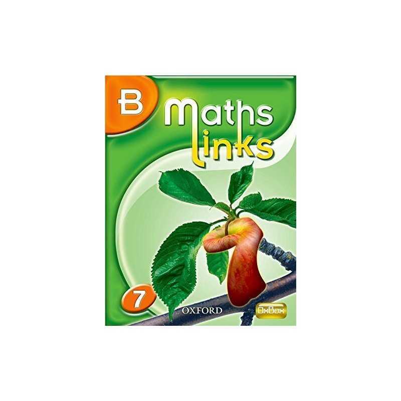 MathsLinks: 1: Y7 Students Book B by Allan et al, Ray Paperback Book