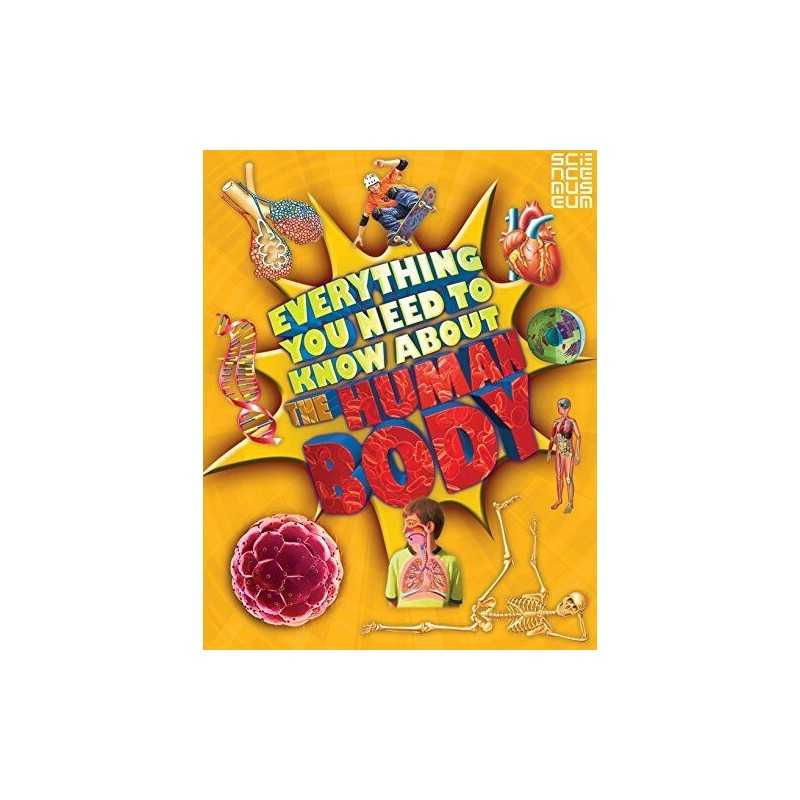 Everything You Need To Know About The Human Body by Macnair, Patricia Book The