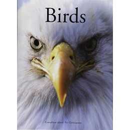 Encyclopedia of Birds by Per Christiansen Hardback Book