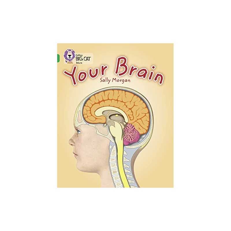 Your Brain: Band 15/Emerald (Collins Big Cat) by Collins Big Cat Book