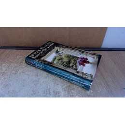 Sun on the Lintel by Tangye, Derek Hardback Book