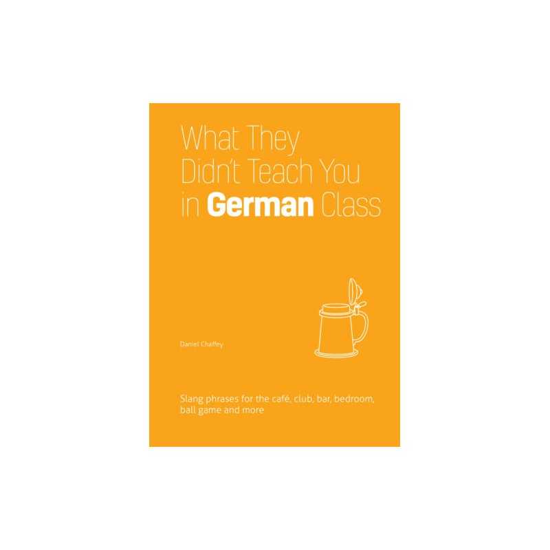 What They Didnt Teach You In German Class - 9781612436760