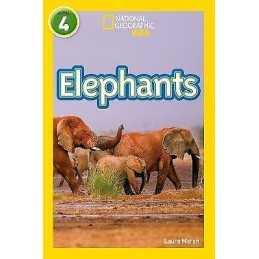 Elephants - 9780008266813