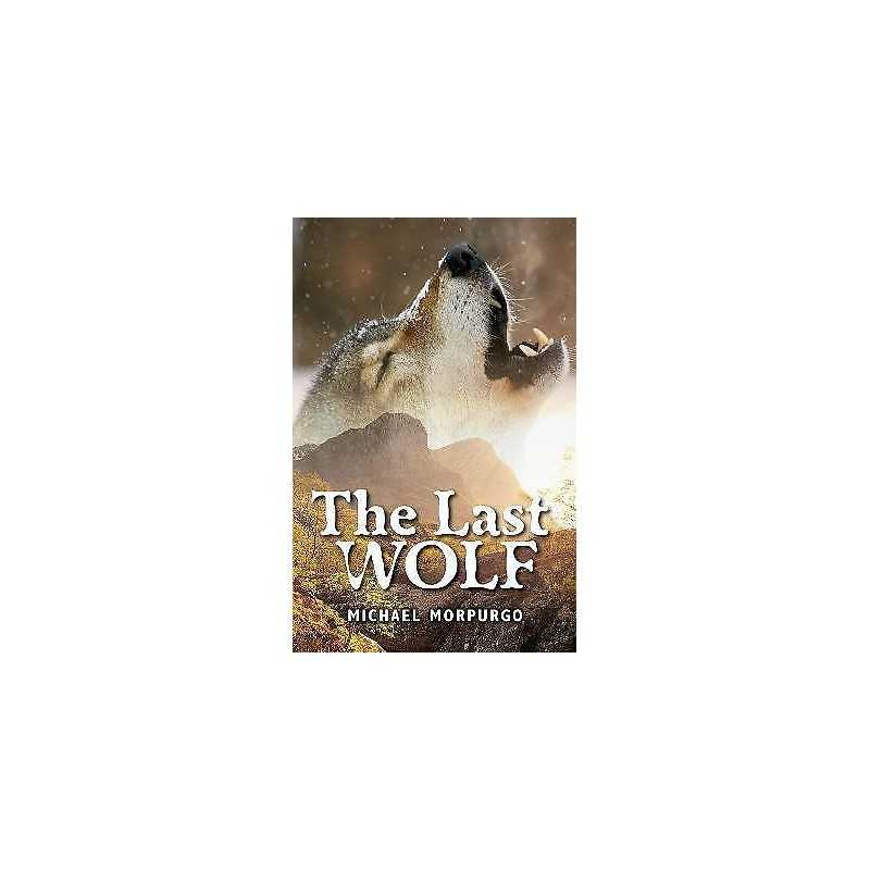 Rollercoasters: The Last Wolf - 9781382034074