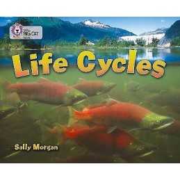Life Cycles - 9780007336401