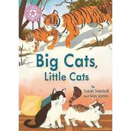 Reading Champion: Big Cats, Little Cats - 9781445174921