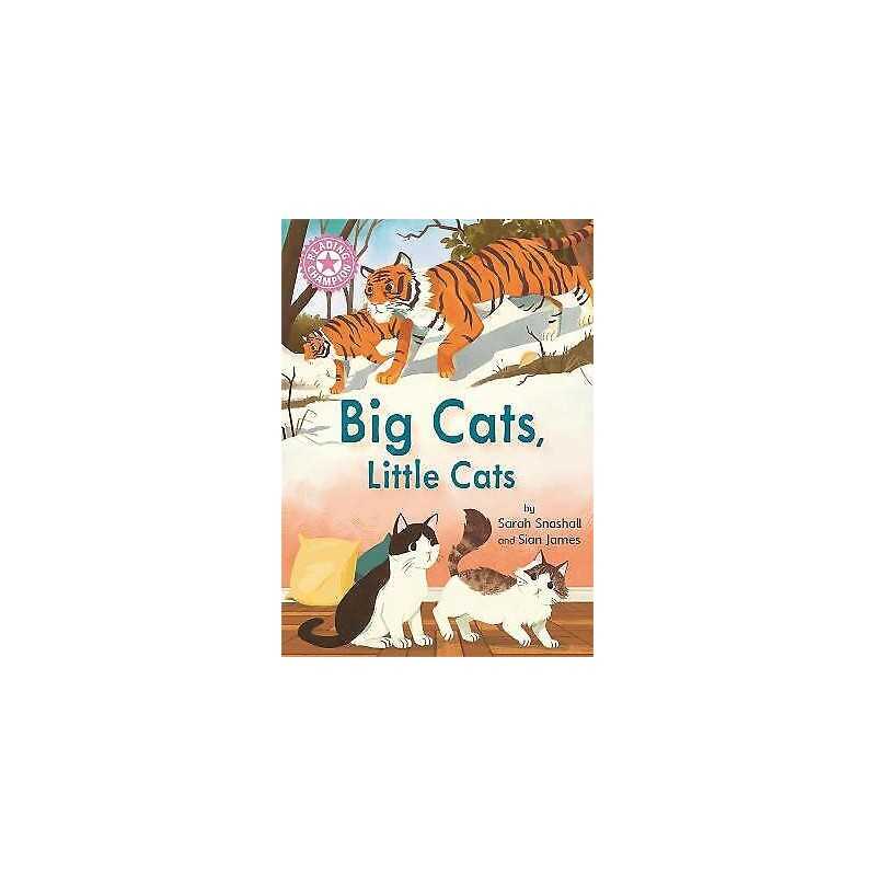 Reading Champion: Big Cats, Little Cats - 9781445174921