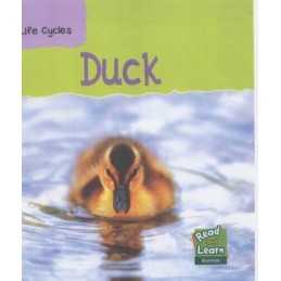 Duck (Read & Learn: Life Cycles) (R..., Richard Spilsbu