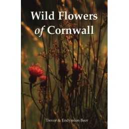 Wild Flowers of Cornwall by Beer, Endymion Paperback Book