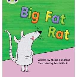 Bug Club Phonics Fiction Reception Phase 2 Set ... by Sandford, Nicola Paperback