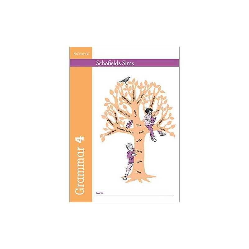 Grammar and Punctuation Book 4: Year 4, Ages 8-9 by Carol Matchett Book The