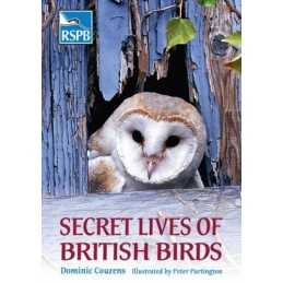 Secret Lives of British Birds (Rspb) by Couzens, Dominic Paperback Book The