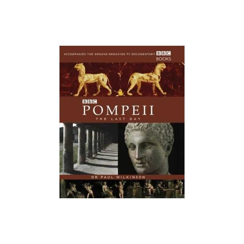 Pompeii by Wilkinson, Paul Hardback Book