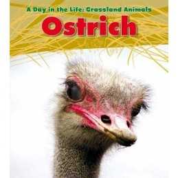 Ostrich (A Day in the Life: Grassla..., Spilsbury, Loui