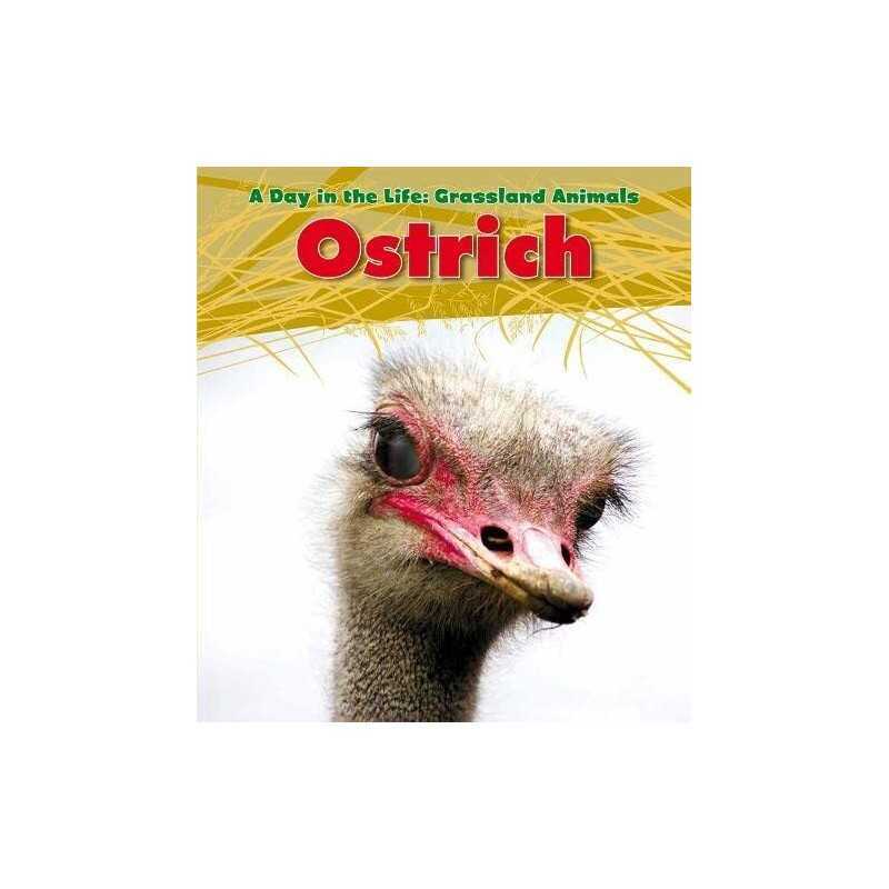 Ostrich (A Day in the Life: Grassla..., Spilsbury, Loui
