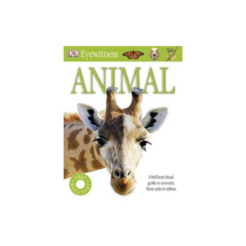 Animal (Eyewitness), DK