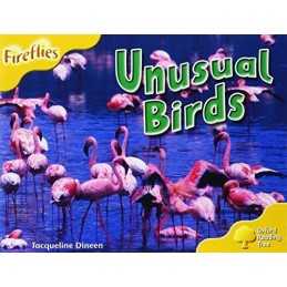 Oxford Reading Tree: Level 5: More Fireflies ... by Dineen, Jacqueline Paperback