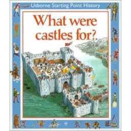 What Were Castles for? (Usborne Sta..., Cox, Phil Roxbe