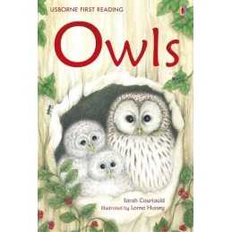 Owls (First Reading Level 4) by Courtauld, Sarah Hardback Book  Fast