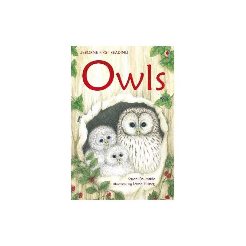 Owls (First Reading Level 4) by Courtauld, Sarah Hardback Book  Fast
