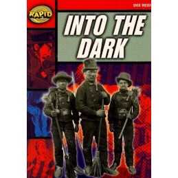 Into the Dark by Reid, Dee Paperback Book