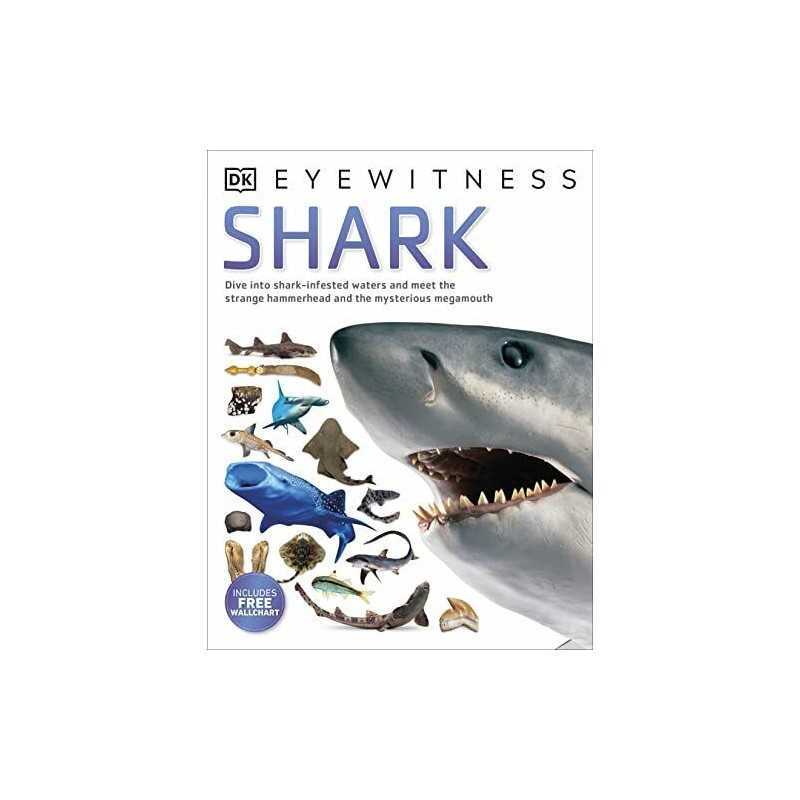 Shark (DK Eyewitness) by DK Book
