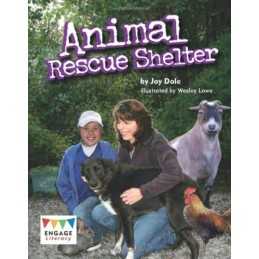 Animal Rescue Shelter (Engage Literacy Gold) by Dale, Jay Book  Fast