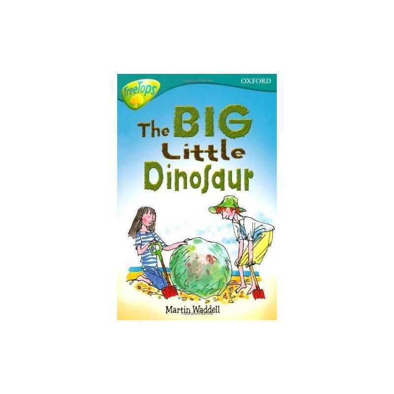 Oxford Reading Tree: Level 9: TreeTops: The Big ... by Waddell, Martin Paperback