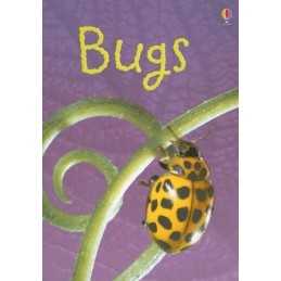 Bugs (Usborne Beginners) by Bowman, Lucy Book