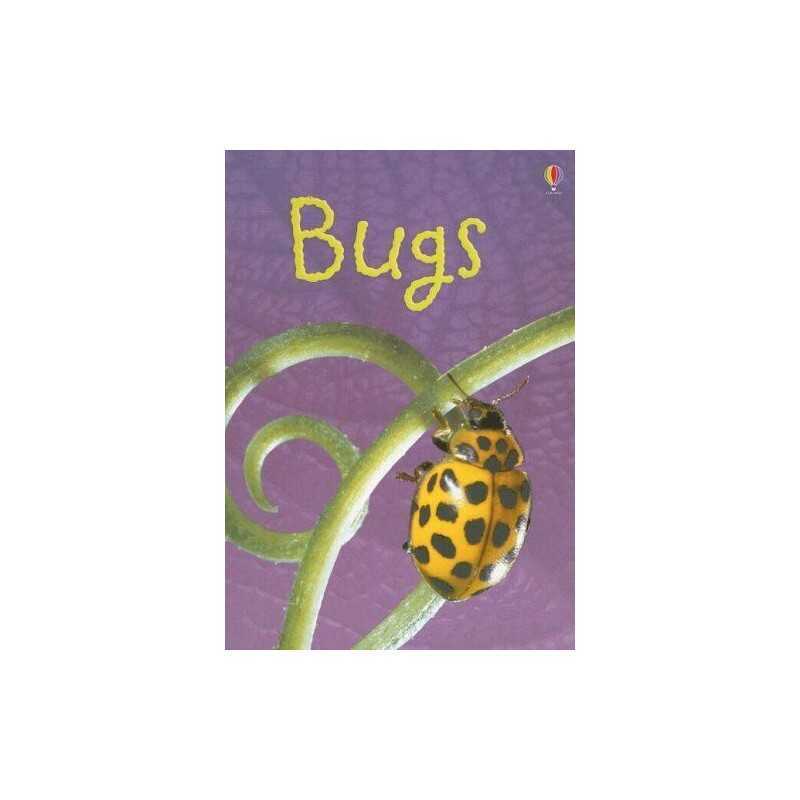 Bugs (Usborne Beginners) by Bowman, Lucy Book