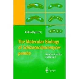 The Molecular Biology of Schizosaccharomyces pombe - 9783540006930