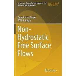 Non-Hydrostatic Free Surface Flows - 9783319479699