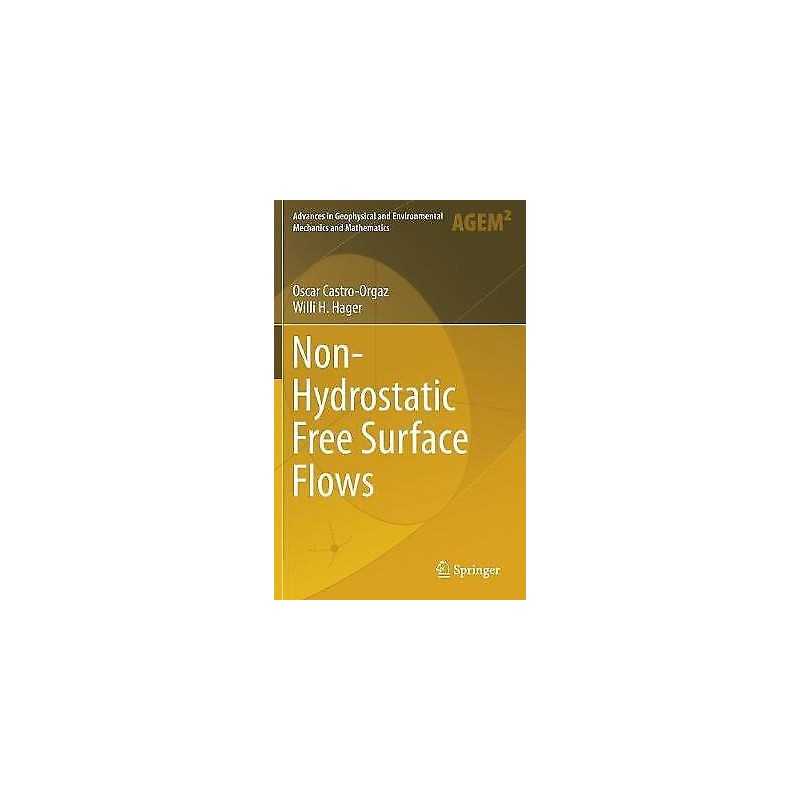 Non-Hydrostatic Free Surface Flows - 9783319479699