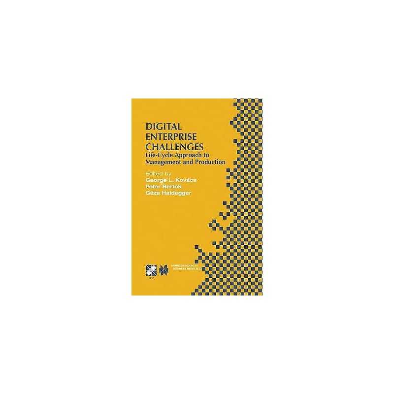 Digital Enterprise Challenges - 9781475749878
