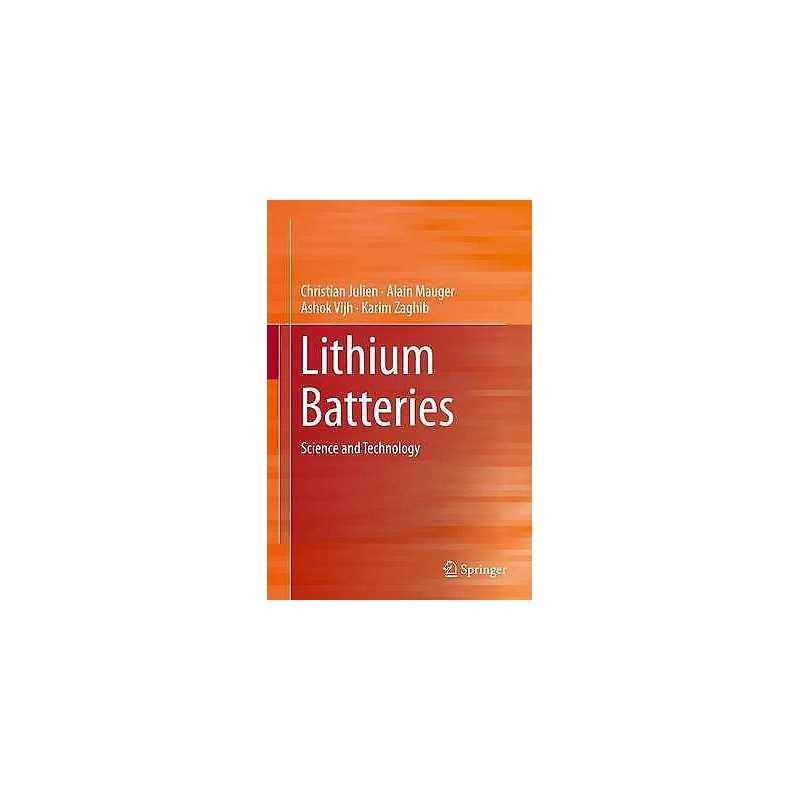 Lithium Batteries - 9783319191072