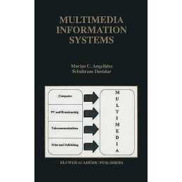 Multimedia Information Storage and Management - 9781461286226