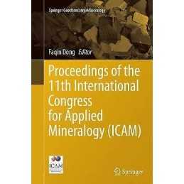 Proceedings of the 11th International Congress for Applied Mi... - 9783319374796