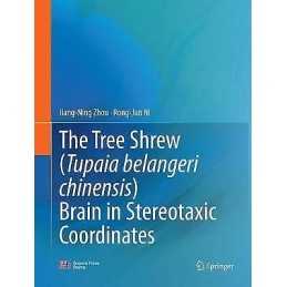 The Tree Shrew (Tupaia belangeri chinensis) Brain in Stereota... - 9789811092091