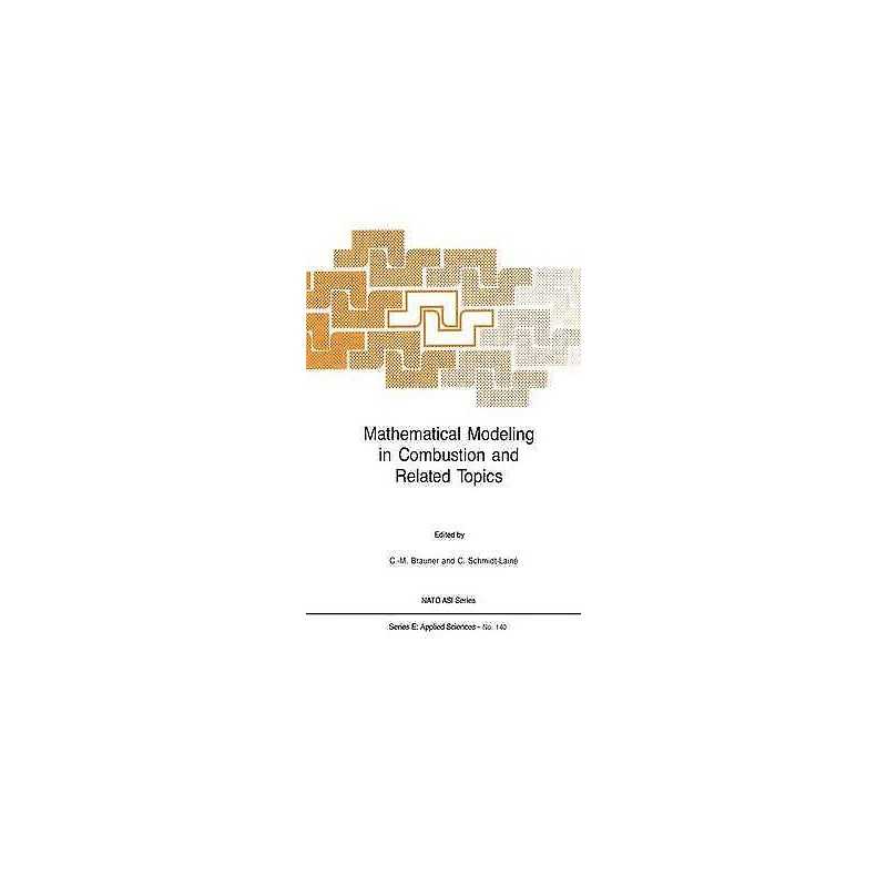 Mathematical Modeling in Combustion and Related Topics - 9789024736560