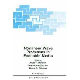 Nonlinear Wave Processes in Excitable Media - 9780306438004